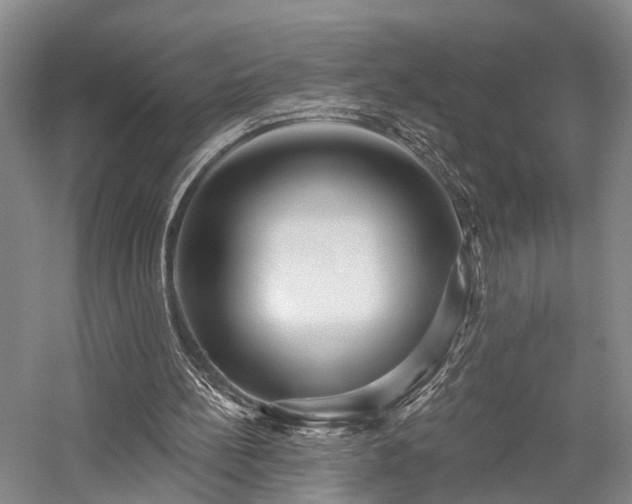 X0000058120148200509231101