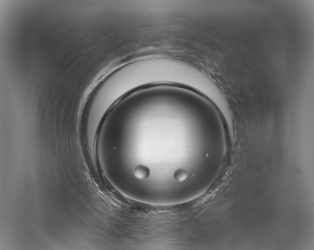 X0000058120150200509231101