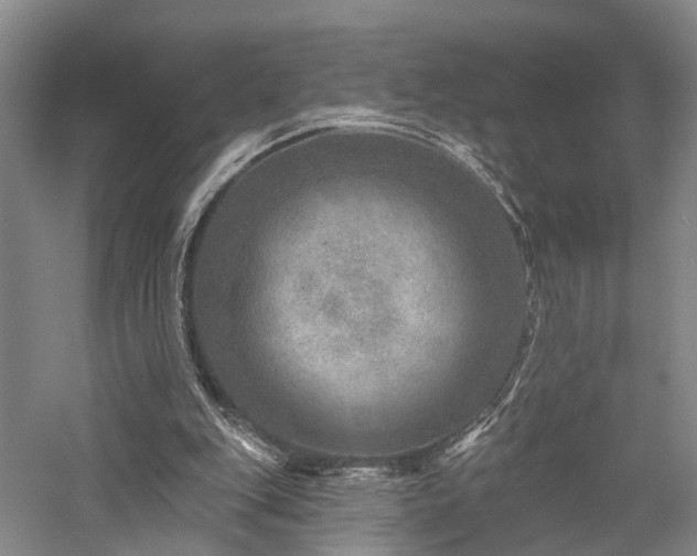 X0000058120151200509231101