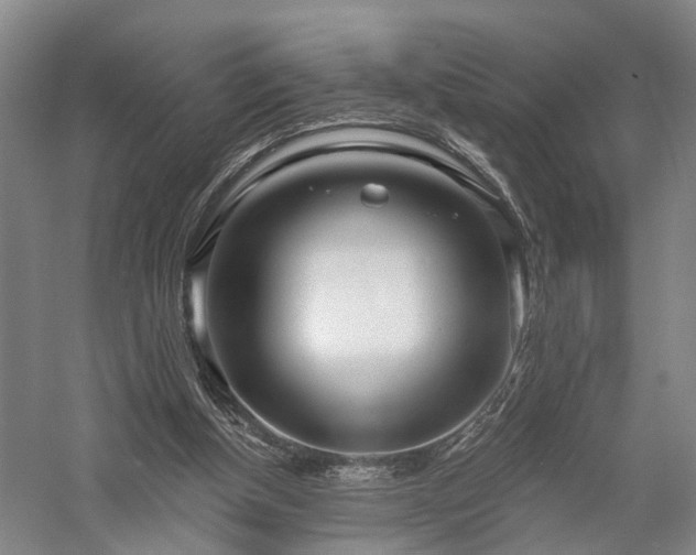 X0000058120154200509231101