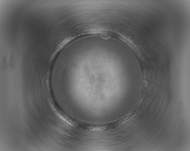 X0000058120155200509231101