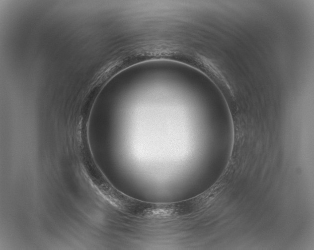 X0000058120163200509231101