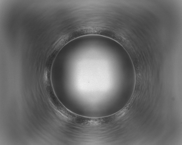 X0000058120166200509231102