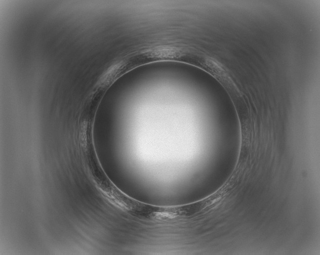 X0000058120167200509231102