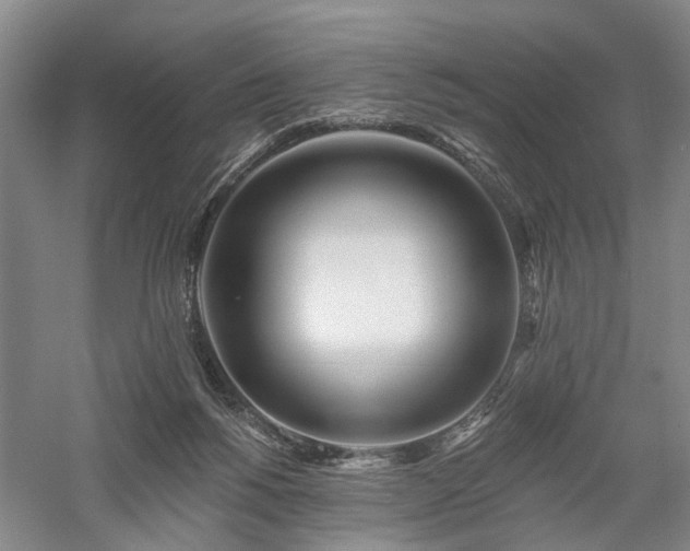 X0000058120168200509231102