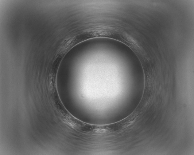 X0000058120169200509231102