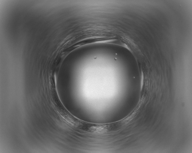 X0000058120170200509231102