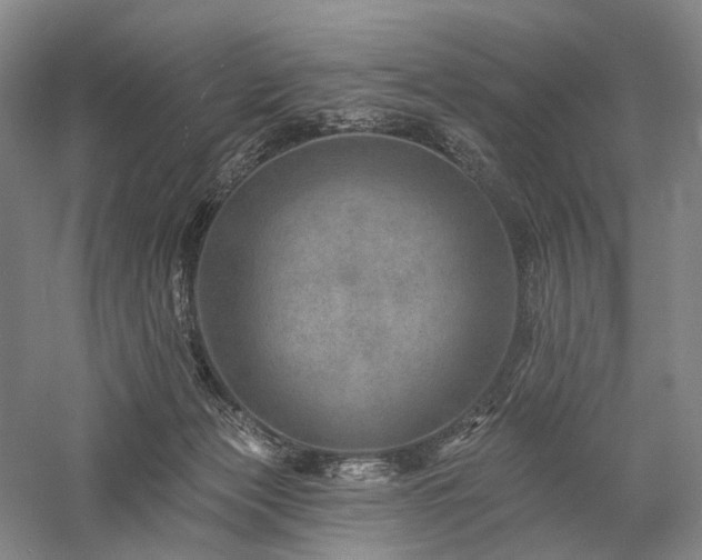 X0000058120173200509231102