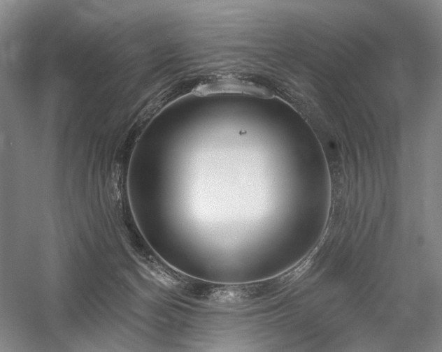 X0000058120174200509231102