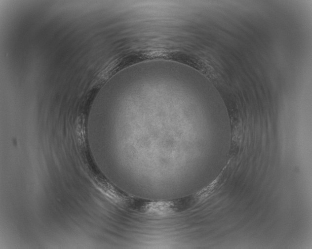 X0000058120179200509231102