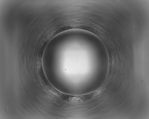 X0000058120180200509231102