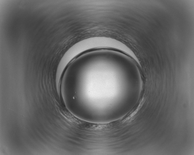 X0000058120186200509231102