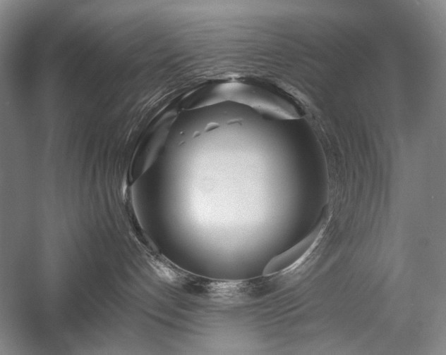 X0000058120192200509231102