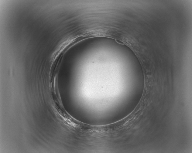 X0000058120194200509231101