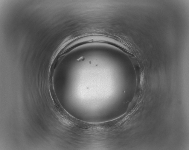 X0000058120195200509231101