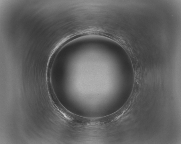 X0000058120196200509231101