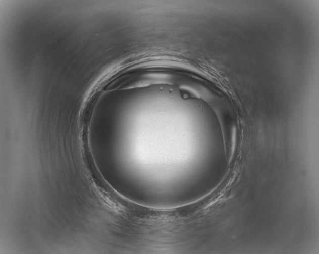 X0000058120197200509231101