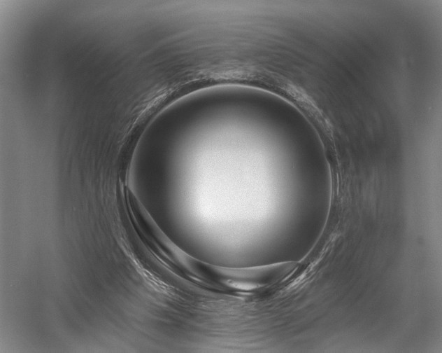 X0000058120201200509231101