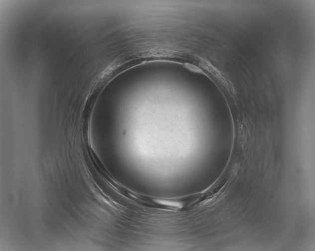 X0000058120203200509231101