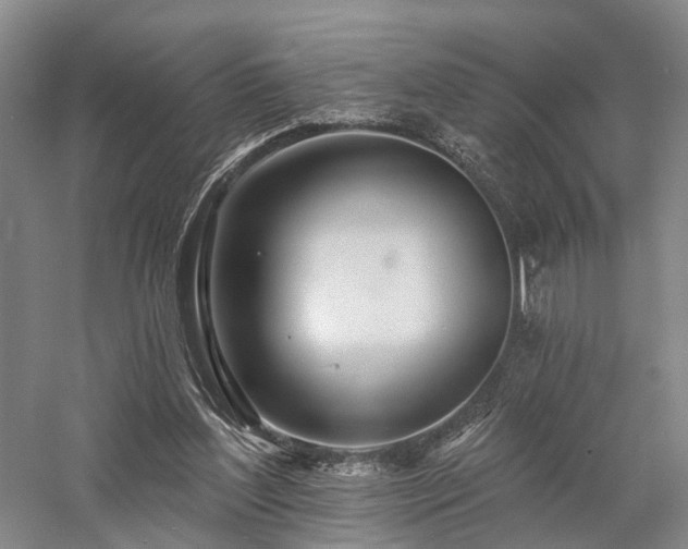 X0000058120204200509231101