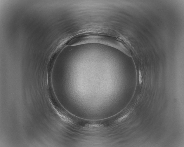 X0000058120205200509231101