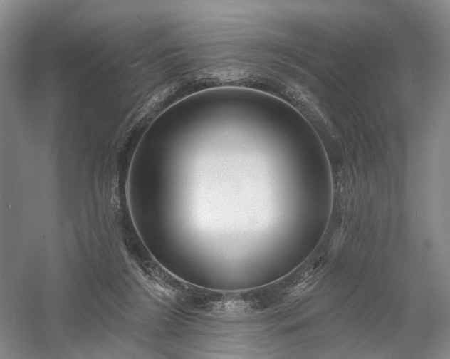 X0000058120212200509231101