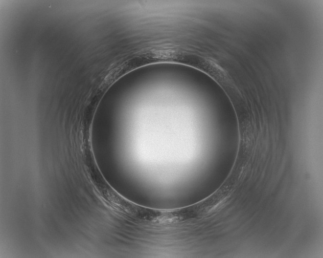 X0000058120213200509231101