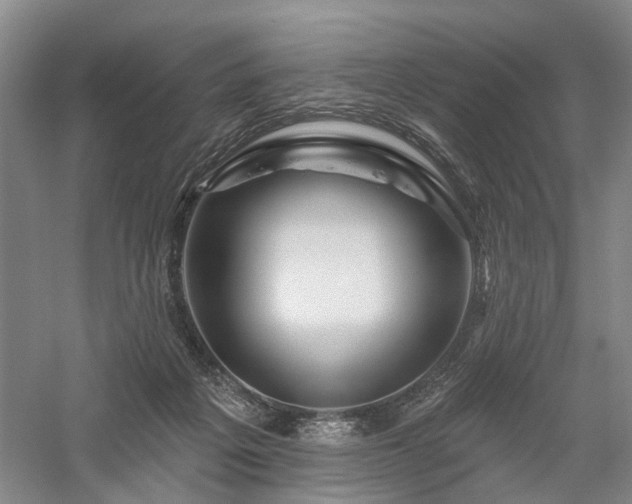 X0000058120217200509231101