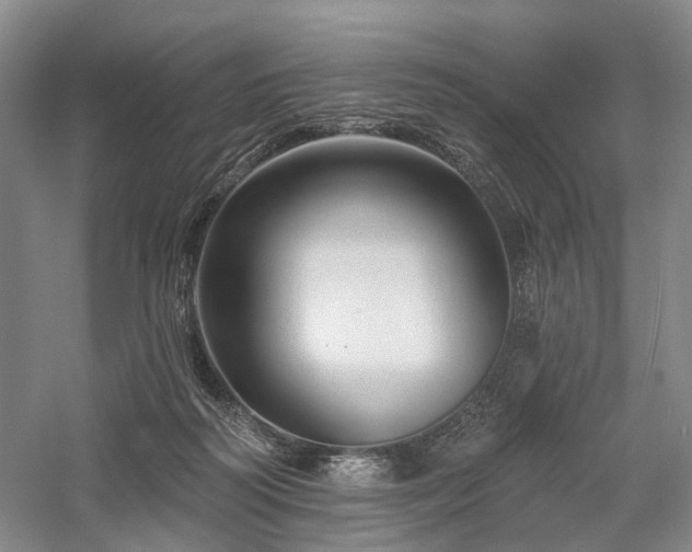 X0000058120218200509231101