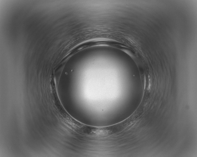 X0000058120221200509231101