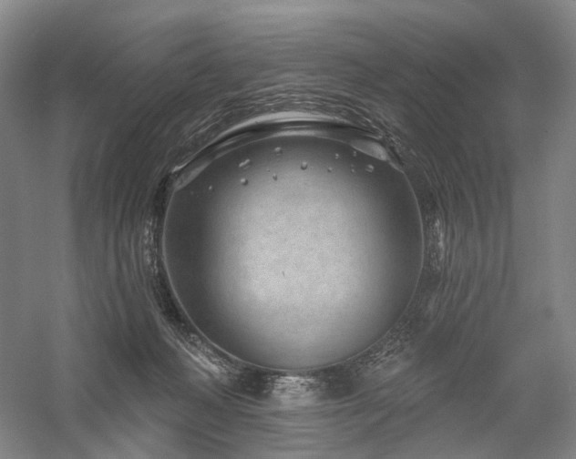X0000058120222200509231101