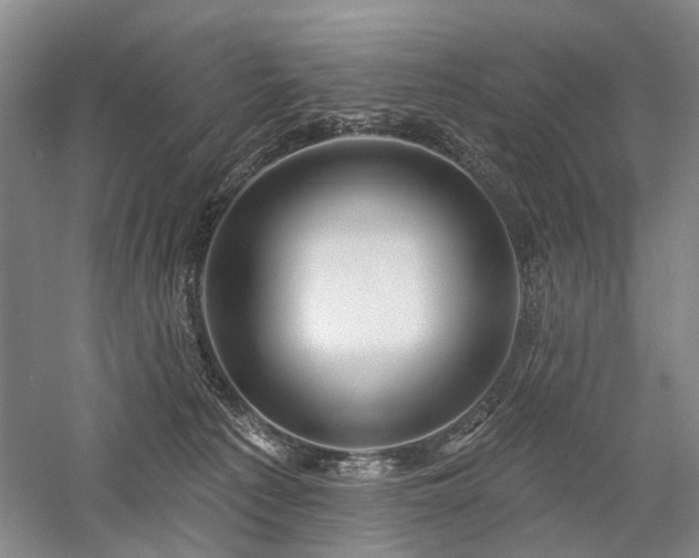 X0000058120225200509231101