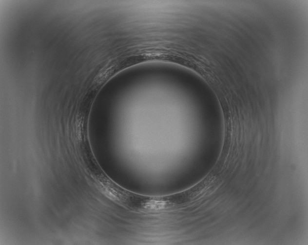 X0000058120227200509231101
