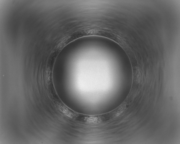 X0000058120230200509231101