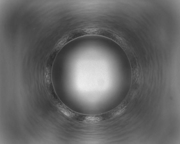 X0000058120234200509231100