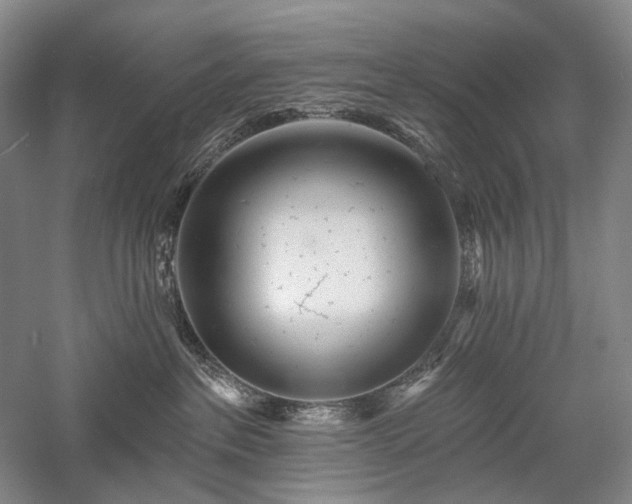 X0000058120237200509231100