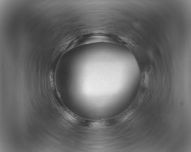 X0000058120238200509231100