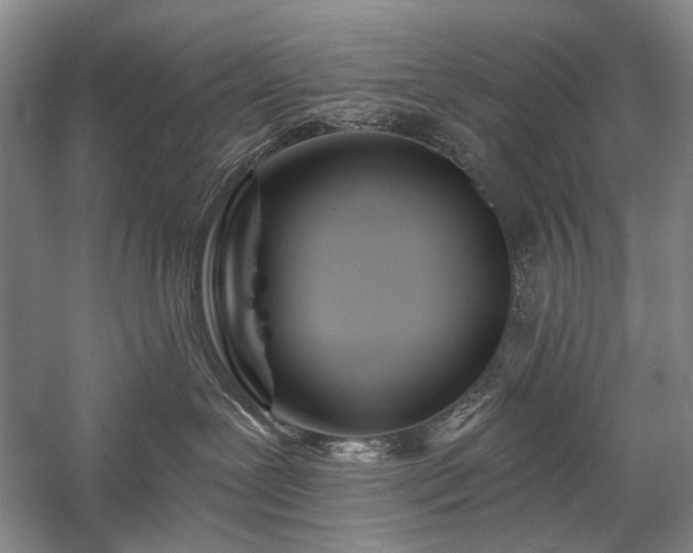 X0000058120239200509231100