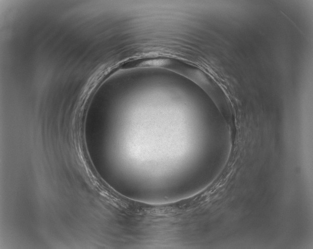 X0000058120241200509231100