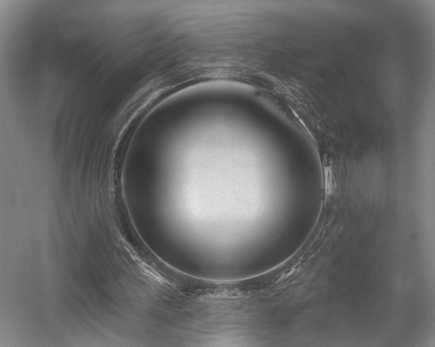 X0000058120243200509231100