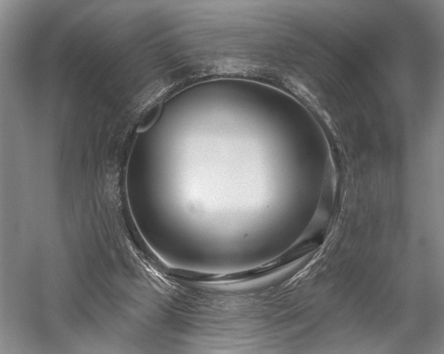 X0000058120249200509231100