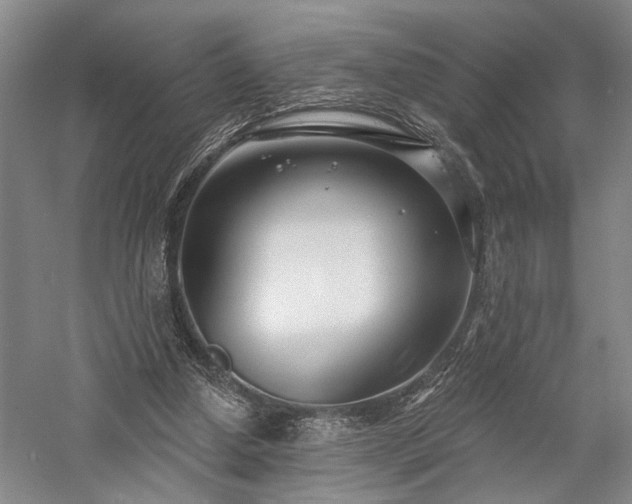 X0000058120250200509231100