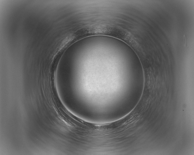 X0000058120251200509231100