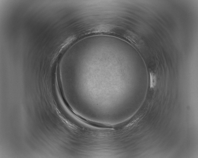 X0000058120253200509231100