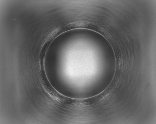 X0000058120254200509231100