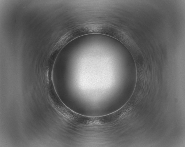 X0000058120262200509231100