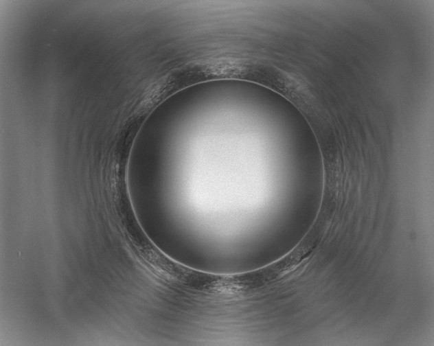 X0000058120263200509231100