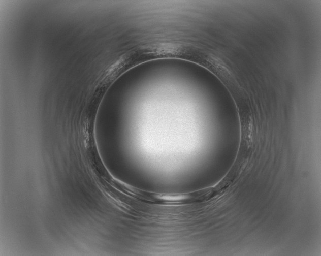 X0000058120264200509231100