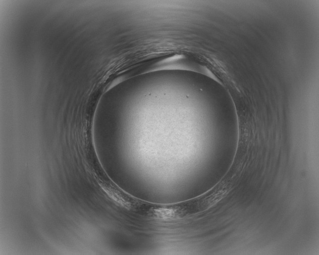 X0000058120265200509231100