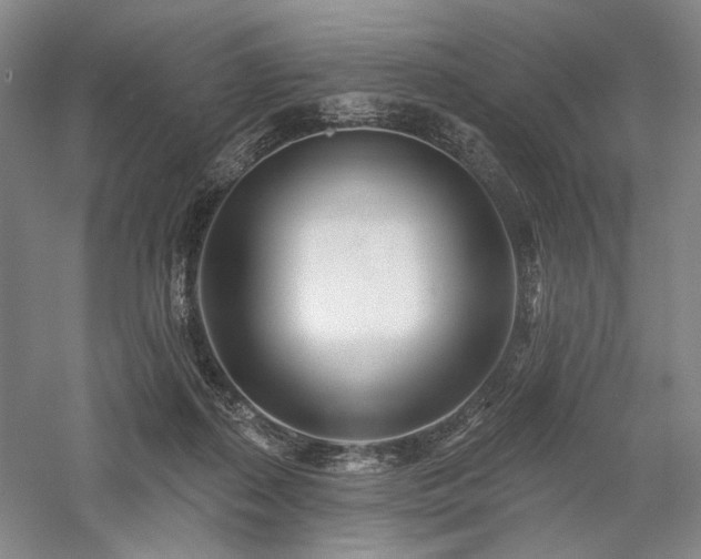 X0000058120267200509231100